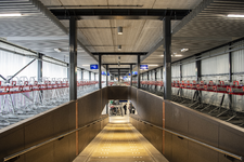 910762 Afbeelding van de fietsenstalling Knoop (voet van de Moreelsebrug aan de Jaarbeurskant) te Utrecht.